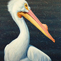 A Great White American Pelican Painting by James W Johnson A Great White American Pelican Painting by James W Johnson
