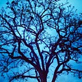 A Moody Broad Photograph by Denise Railey A Moody Broad Photograph by Denise Railey