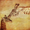 A Mother's Kiss Painted 2 by Judy Vincent A Mother's Kiss Painted 2 by Judy Vincent