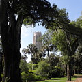 A Path To The Tower Photograph by Kim Galluzzo Wozniak A Path To The Tower Photograph by Kim Galluzzo Wozniak