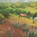 A Peaceful Nibble by Steve Henderson A Peaceful Nibble by Steve Henderson