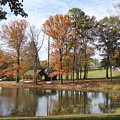 A Peaceful Spot Photograph by Allen Nice-Webb A Peaceful Spot Photograph by Allen Nice-Webb
