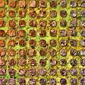 A Penny Saved Digital Art by Becky Titus A Penny Saved Digital Art by Becky Titus