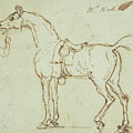 A Racehorse, Bridled And Saddled by James Seymour A Racehorse, Bridled And Saddled by James Seymour