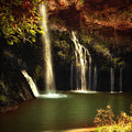 A Resting Place at Dripping Springs II by Tamyra Ayles