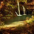 A Resting Place at Dripping Springs by Tamyra Ayles