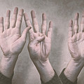 A Show of Hands Day 197 Photograph by Scott Norris A Show of Hands Day 197 Photograph by Scott Norris