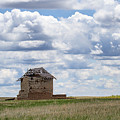 A Solitary Existance Photograph by Jim Garrison A Solitary Existance Photograph by Jim Garrison