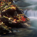 A Special Place Photograph by DArcy Evans A Special Place Photograph by DArcy Evans
