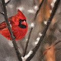 A Spot Of Color Digital Art by Lois Bryan A Spot Of Color Digital Art by Lois Bryan