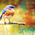 A Still Mind Photograph by Tina LeCour A Still Mind Photograph by Tina LeCour