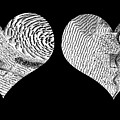 A Tale of Two Hearts Photograph by Marilyn Cornwell