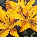 A touch of Gold by Tami Booher A touch of Gold by Tami Booher