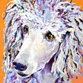Above The Standard by Pat Saunders-White Above The Standard by Pat Saunders-White