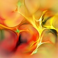 Abstract 061410A by David Lane Abstract 061410A by David Lane
