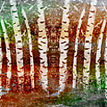 Abstract Birch Tree Forest 693016 Painting by Mas Art Studio