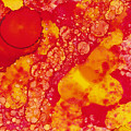 Abstract Intensity Painting by Nikki Marie Smith Abstract Intensity Painting by Nikki Marie Smith
