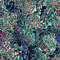 Abstract Pattern of Colors Digital Art by Phil Perkins Abstract Pattern of Colors Digital Art by Phil Perkins