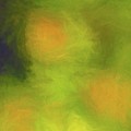Abstract Untitled Photograph by Steve DaPonte Abstract Untitled Photograph by Steve DaPonte