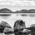 Acadia Photograph by Holly Ross Acadia Photograph by Holly Ross