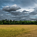 Acre with corn with forest and cloudy sky Photograph by Andreas Berthold Acre with corn with forest and cloudy sky Photograph by Andreas Berthold