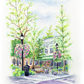 Across the Plaza Painting by Lori Taylor Across the Plaza Painting by Lori Taylor