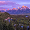 Admiration Photograph by Chad Dutson Admiration Photograph by Chad Dutson