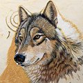 Adobe Gold by Sandi Baker Adobe Gold by Sandi Baker