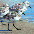 Advance Pastel by Rita Kirkman Advance Pastel by Rita Kirkman