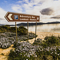 Adventure Bay Lookout by Jorgo Photography - Wall Art Gallery Adventure Bay Lookout by Jorgo Photography - Wall Art Gallery