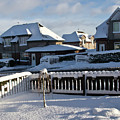 After a blizzard. Photograph by Elena Perelman After a blizzard. Photograph by Elena Perelman