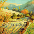 After Harvest by Steve Henderson After Harvest by Steve Henderson