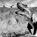 Airplane Food Black And White by William Dey Airplane Food Black And White by William Dey