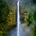 Akaka Falls Photograph by Christopher Holmes Akaka Falls Photograph by Christopher Holmes