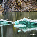 Alaskan Icebergs Photograph by Jason Brooks Alaskan Icebergs Photograph by Jason Brooks