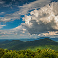All Weather Photograph by Joye Ardyn Durham