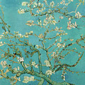 Almond Blossom, 1890 Painting by Vincent van Gogh Almond Blossom, 1890 Painting by Vincent van Gogh