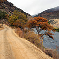 Along The Kalamath - Oregon Photograph by DArcy Evans Along The Kalamath - Oregon Photograph by DArcy Evans