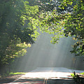 Along the Road of Life Photograph by Ted Keller Along the Road of Life Photograph by Ted Keller
