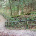 Along the Trail, Life Happens Photograph by Merle Grenz Along the Trail, Life Happens Photograph by Merle Grenz