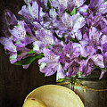 Alstroemeria with Seashell Photograph by Cindi Ressler Alstroemeria with Seashell Photograph by Cindi Ressler