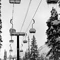 Alta October Photograph by Brett Pelletier Alta October Photograph by Brett Pelletier