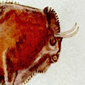 Altamira Prehistoric Bison Detail Digital Art by Weston Westmoreland Altamira Prehistoric Bison Detail Digital Art by Weston Westmoreland