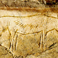 Altxerri Cave Fox Painting by Weston Westmoreland Altxerri Cave Fox Painting by Weston Westmoreland