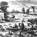 AMERICAN FARMYARD, c1870 Drawing by Granger Historical Picture Archive AMERICAN FARMYARD, c1870 Drawing by Granger Historical Picture Archive