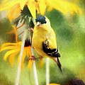 American Goldfinch Mixed Media by Tina LeCour American Goldfinch Mixed Media by Tina LeCour
