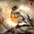 American Robin Painting by Tina LeCour American Robin Painting by Tina LeCour