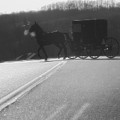 Amish Horse And Buggy In Winter by Dan Sproul Amish Horse And Buggy In Winter by Dan Sproul