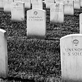 Among the Unknown Photograph by Holly Ross Among the Unknown Photograph by Holly Ross