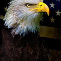 An American Icon Photograph by Chris Lord An American Icon Photograph by Chris Lord